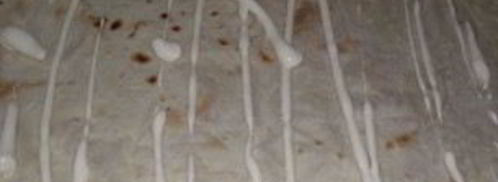 лаваш с грибами и сыром. Шаг 2