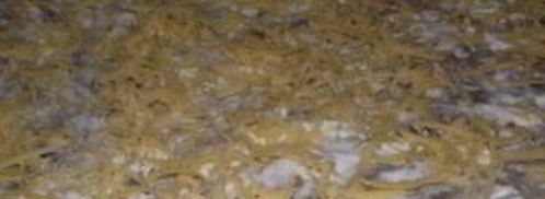 лаваш с грибами и сыром. Шаг 5