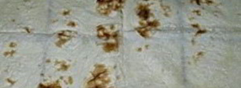 лаваш с консервой. Шаг 4