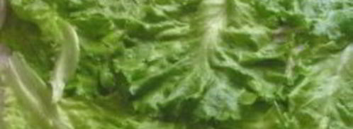 лаваш с курицей. Шаг 6