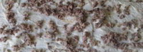 лаваш с сардиной. Шаг 2