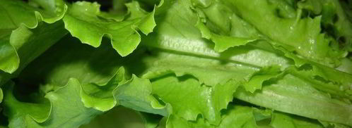 лаваш со свежими овощами. Шаг 2