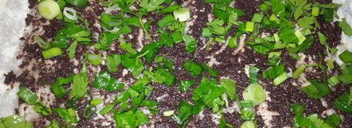 лаваш, запеченный с оливковой пастой, томатным соусом, зеленью и кунжутом. Шаг 2