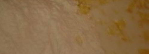 лепешки с ветчиной и сыром. Шаг 2