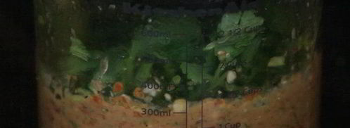 пряная лепешка с сыром. Шаг 2