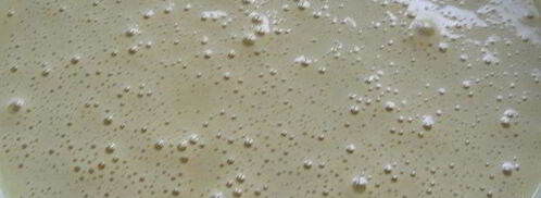 медовые маффины-пряники. Шаг 4