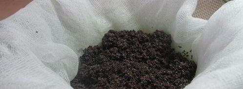 маковая начинка для рулета. Шаг 5