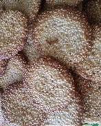 Кунжутное печенье