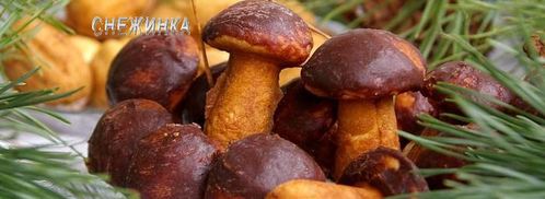 печенье грибочки и орешки со сгущенкой. Шаг 23