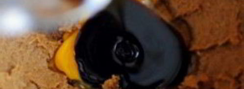 простое имбирное печенье. Шаг 3