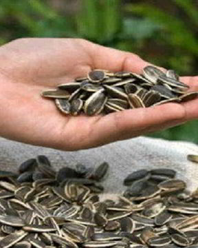 Быстрый пирог к чаю