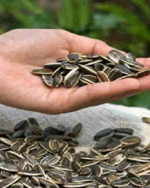 Быстрый пирог к чаю