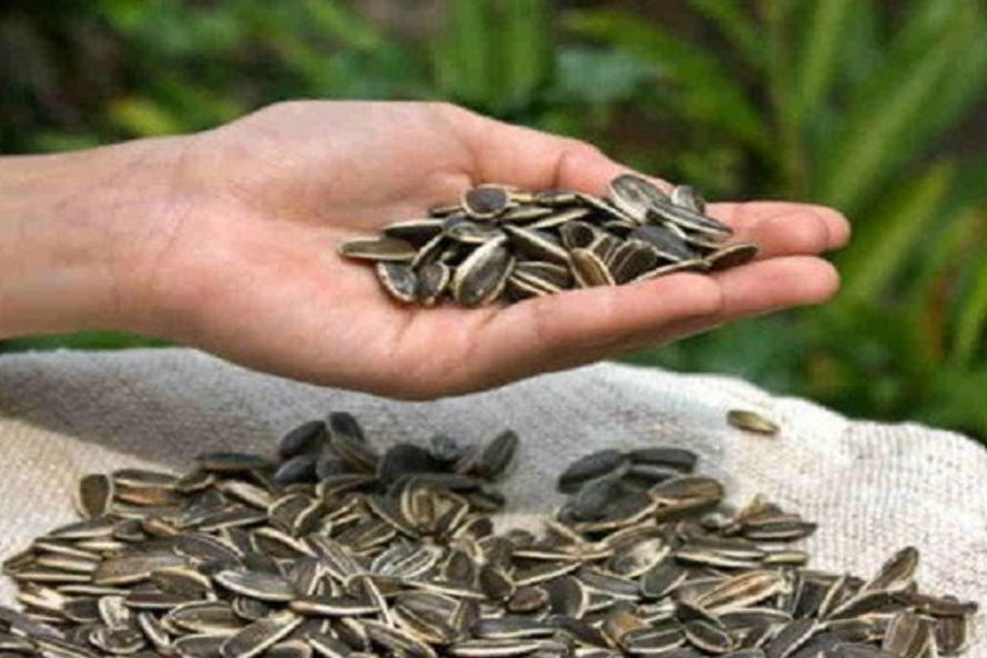 Рецепт быстрого пирога к чаю