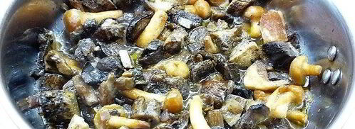 мини-киши с отрубями и лесными грибами. Шаг 8