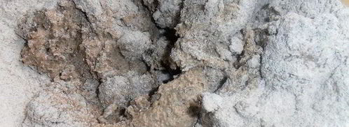 ржаной киш по-латвийски. Шаг 11