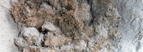 ржаной киш по-латвийски. Шаг 12