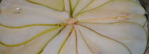 шоколадно-ореховый пирог дюшес. Шаг 9