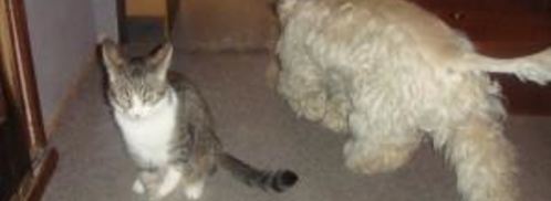 пирожки для бабушки. Шаг 7