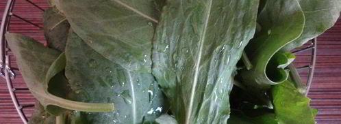 пирожки-мешочки — продолжение щавелевой темы. Шаг 3