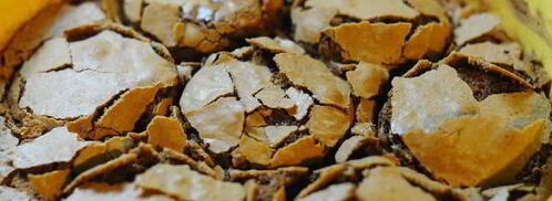 пирожное с маскарпоне и апельсиновой карамелью. Шаг 6