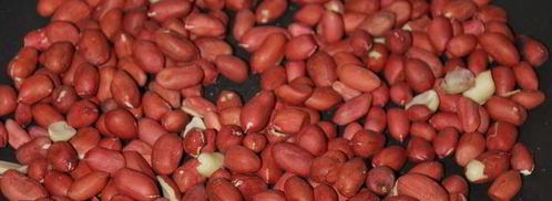 шоколадно-мятные пирожные с арахисовой пастой. Шаг 15