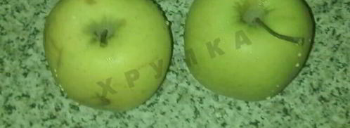 пирог с яблоками шарлотка. Шаг 6