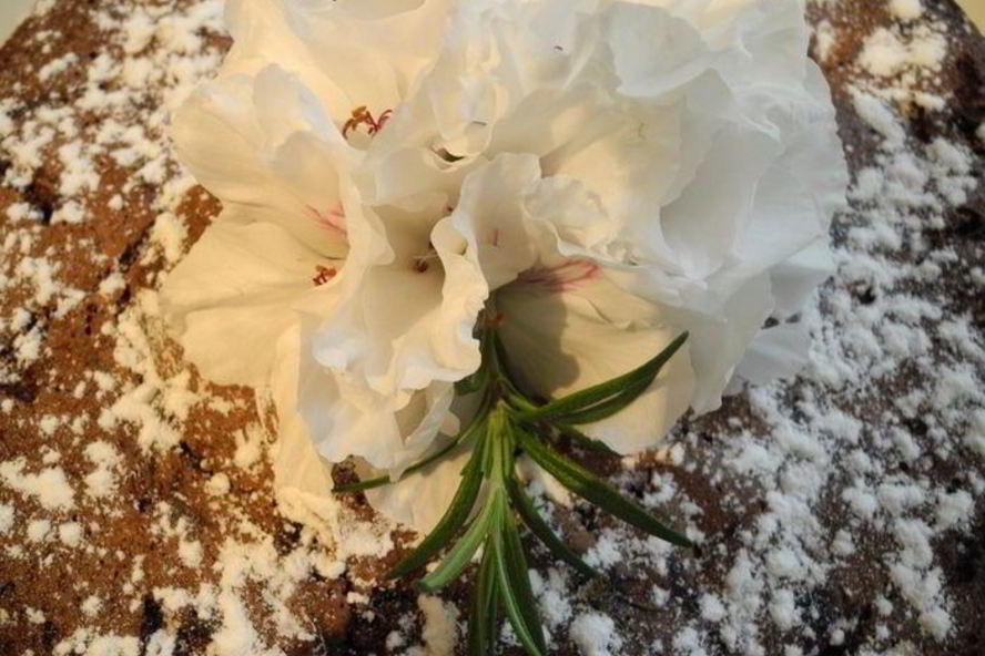 Рецепт шоколадной шарлотки с яблоками и пьяной вишней