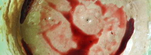 шоколадная шарлотка с яблоками и пьяной вишней. Шаг 4