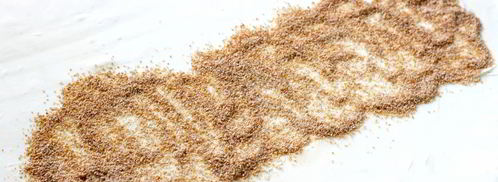 венский штрудель с яблоками. Шаг 10