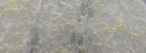 краб термидор в корзинке из тесто фило. Шаг 2