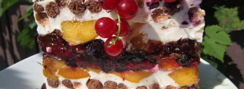 торт без выпечки летний. Шаг 17