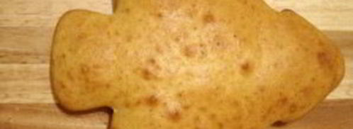 торт елка. Шаг 6