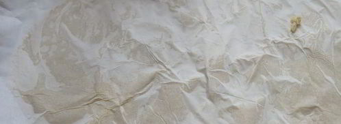 эклеры с фисташковым кремом. Шаг 2