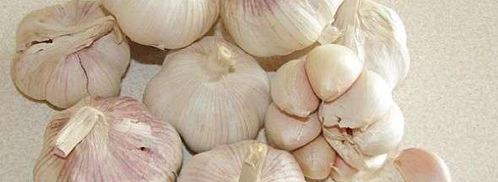 аджика с помидорами. Шаг 24