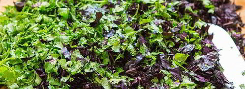 кавказская аджика на зиму. Шаг 7