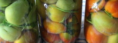 фаршированные зеленые помидоры на зиму. Шаг 4