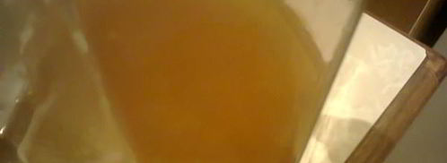 компот из фейхоа с орегано. Шаг 4