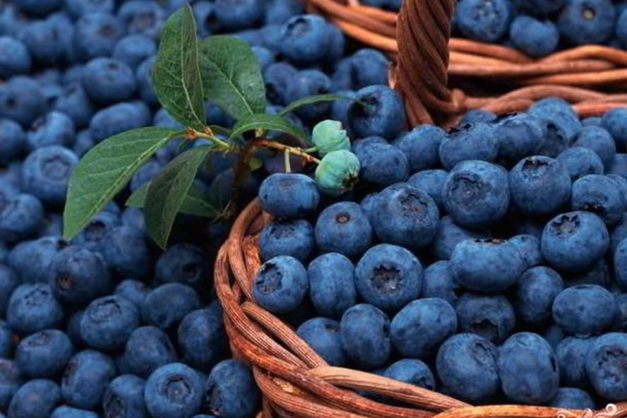 Рецепт компота из голубики на зиму