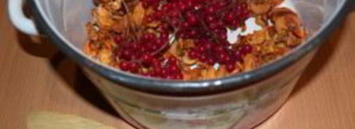 компот из калины и яблок. Шаг 2