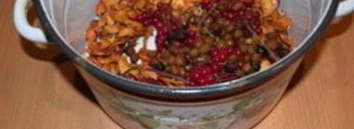 компот из калины и яблок. Шаг 3