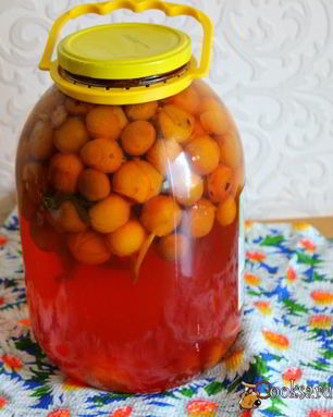 Компот из мелкой сливы с мятой