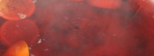 компот-крюшон со смородиной и гибридом мандарина с гранатом. Шаг 7