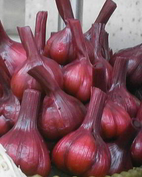 Чеснок маринованный со свеклой