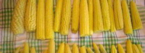 маринованная кукуруза на зиму. Шаг 5