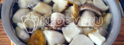 маринованные белые грибы закусочные. Шаг 7