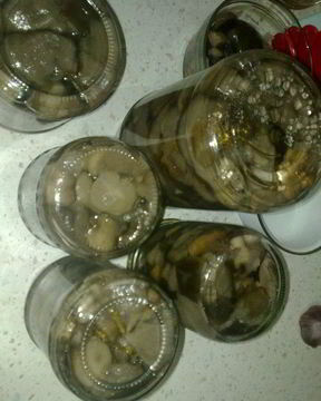 Маринованные грибочки