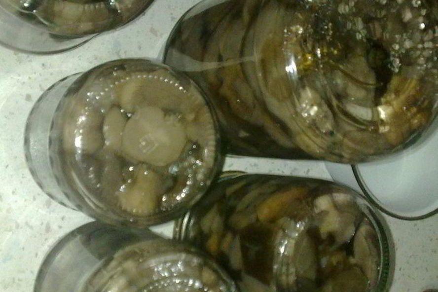 Рецепт маринованных грибочков