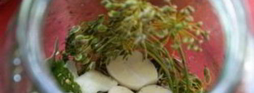 маринованные корнишоны в банках. Шаг 2