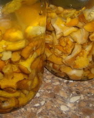 Маринованные лисички с чесноком