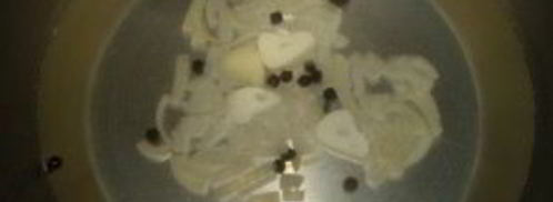 маринованные лисички с чесноком. Шаг 2